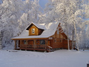 Лес зимней рубки.